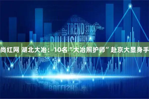 尚红网 湖北大冶：10名“大冶照护师”赴京大显身手