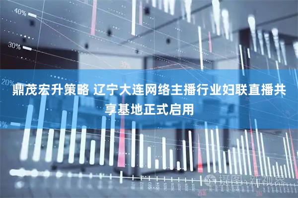 鼎茂宏升策略 辽宁大连网络主播行业妇联直播共享基地正式启用