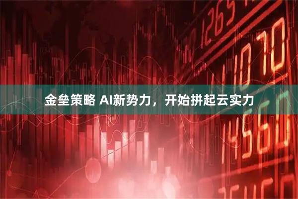 金垒策略 AI新势力，开始拼起云实力