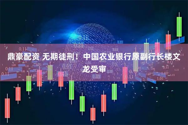 鼎豪配资 无期徒刑！中国农业银行原副行长楼文龙受审
