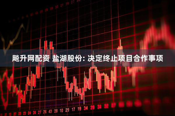 飚升网配资 盐湖股份: 决定终止项目合作事项
